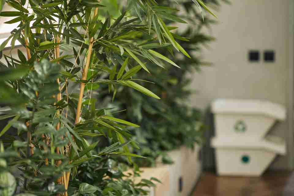 ISO14001 - environmental compliancy in your business